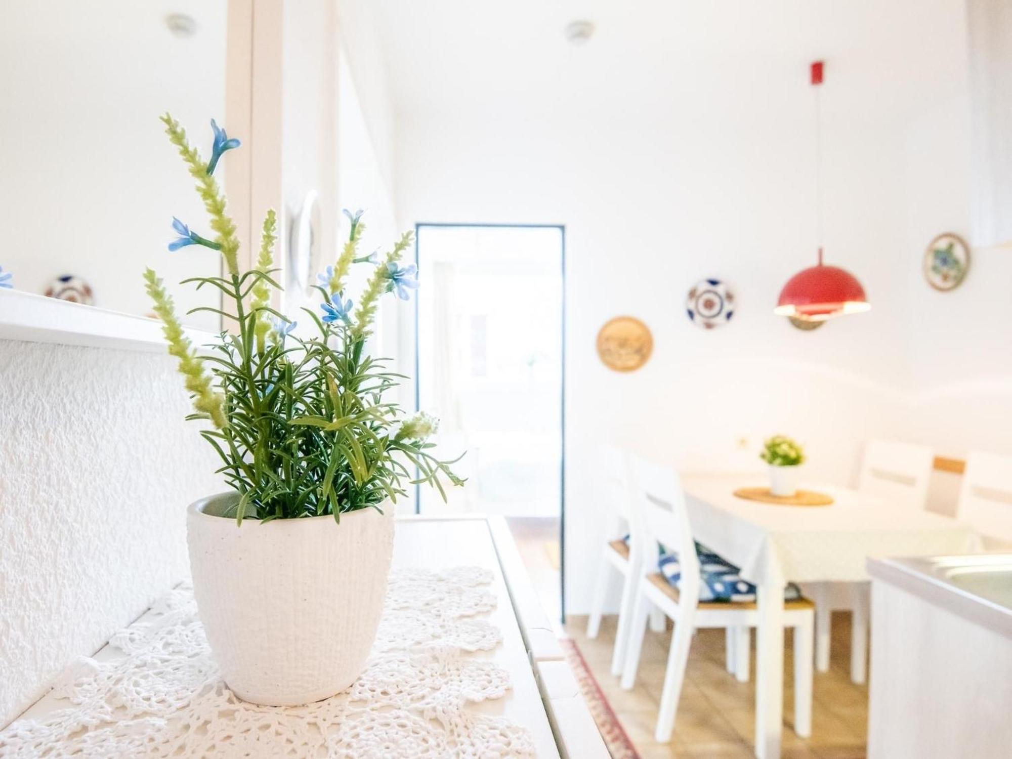 Haus Meeresblick Wohnung 24 Kellenhusen Zewnętrze zdjęcie